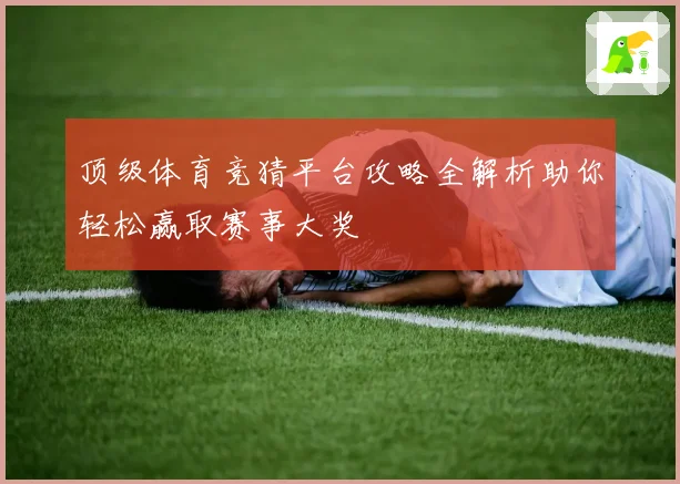 顶级体育竞猜平台攻略全解析助你轻松赢取赛事大奖