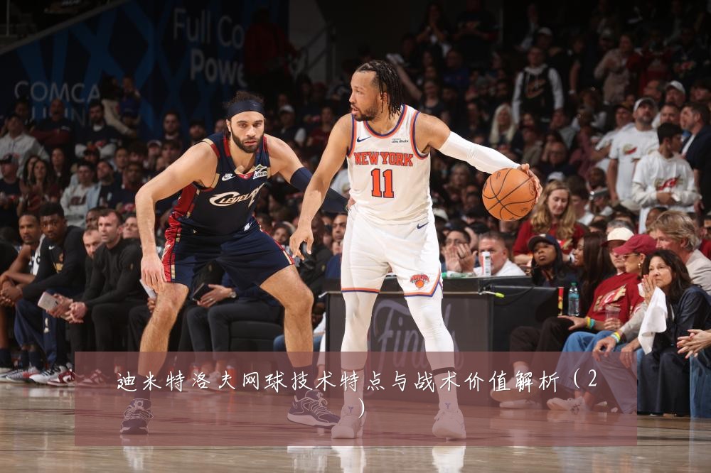 迪米特洛夫网球技术特点与战术价值解析(2)